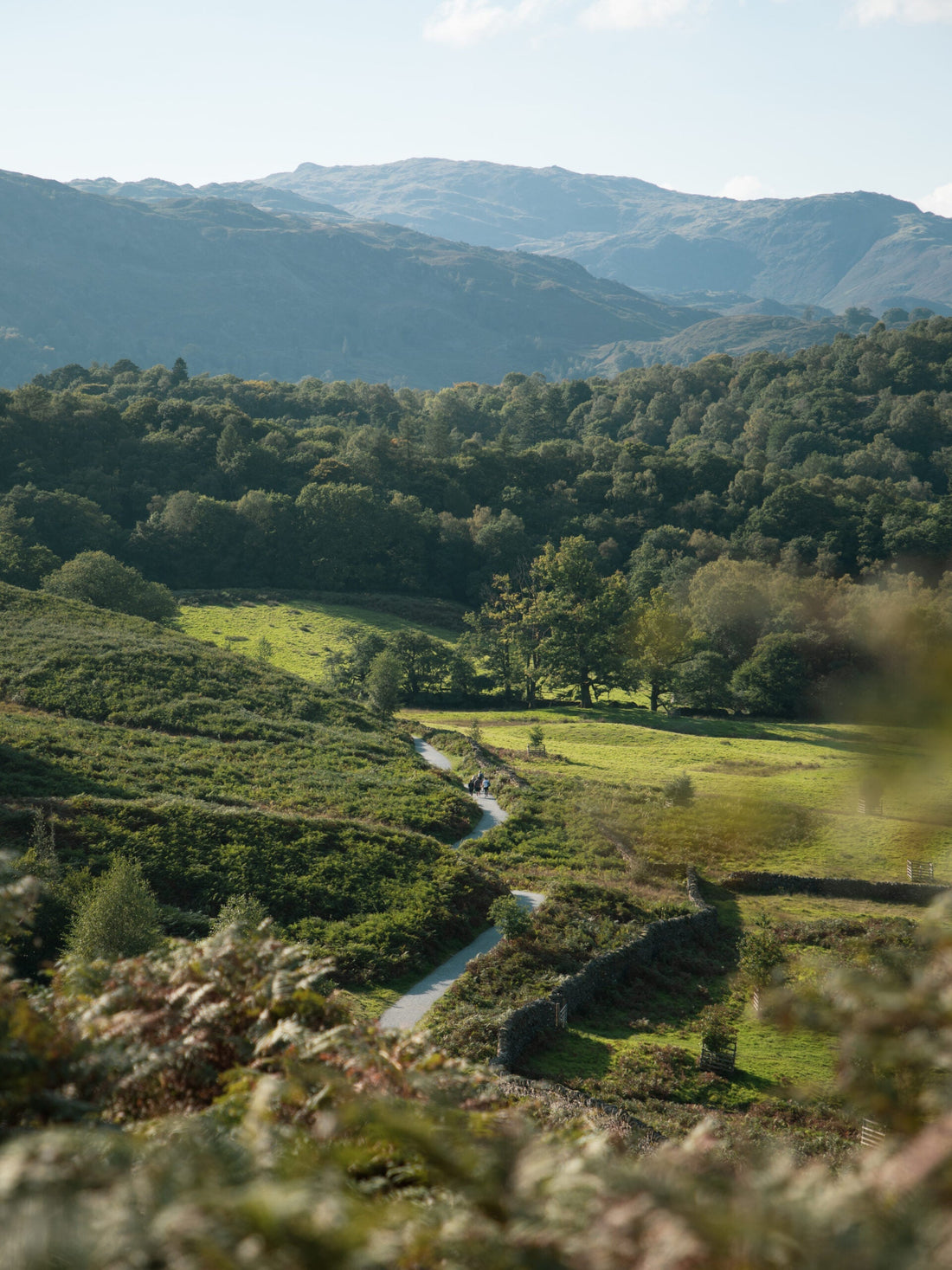 5 things to do in the Lake District this Easter, chosen by our Head Office team