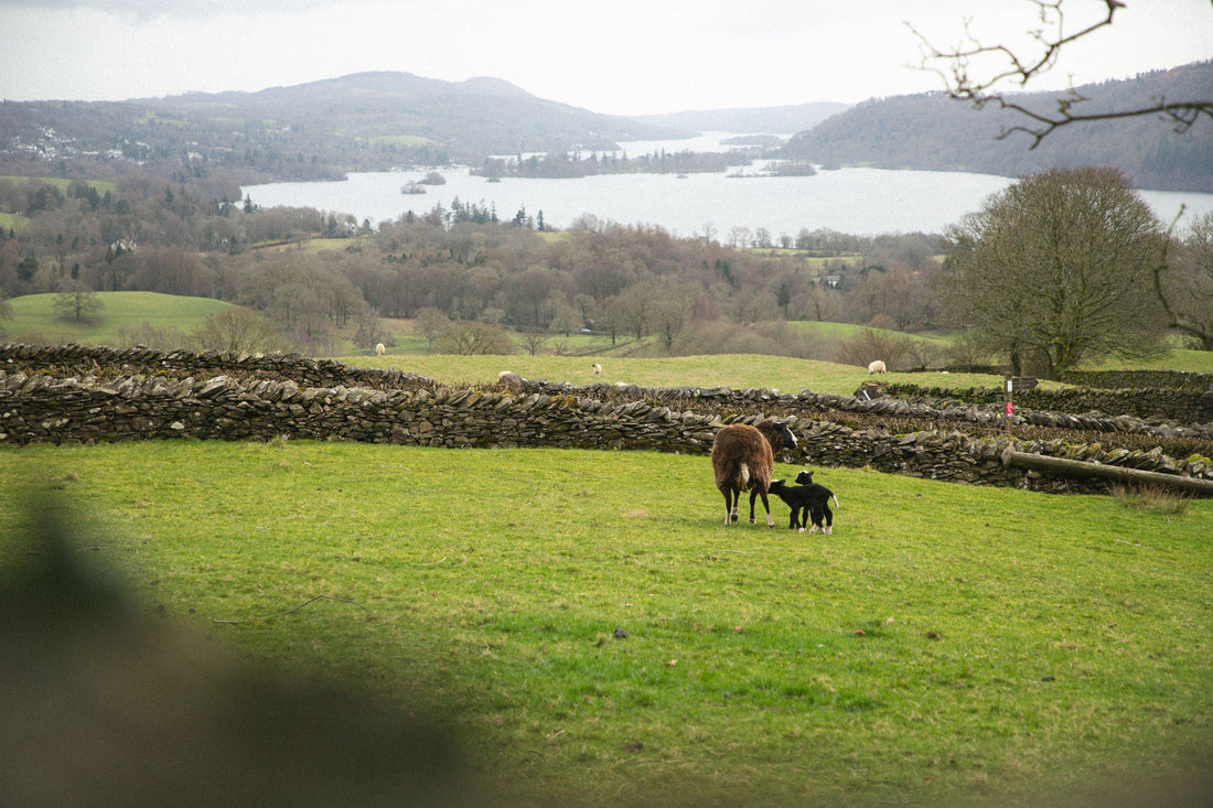 Easter in the Lake District: How to spend the long weekend